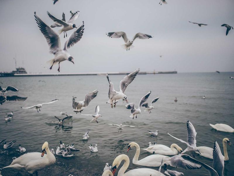 sudoku pattern learning